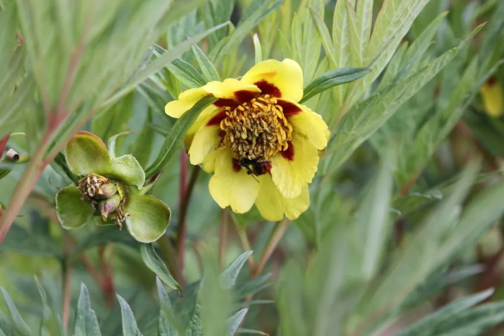  霍芬海姆进攻多点开花，客场大胜提升排名